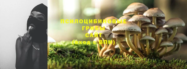 стафф Баксан